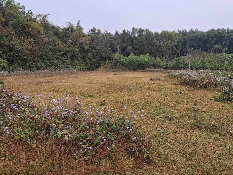 Đất nền 120m² Đường Hiên, Tuyên Quang - Sổ đỏ sẵn sàng!