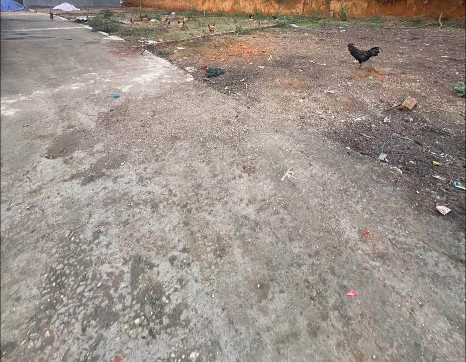 Bán đất thổ cư 160m² tại Phường Tân Hà, Tuyên Quang - Sẵn sổ hồng