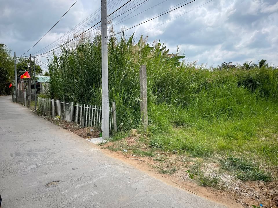 Bán Đất Vĩnh Long 1148m² Nở Hậu - Gần Cầu Phù Ly Bình Minh