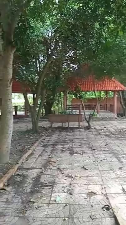 Mặt bằng kinh doanh 2200m² Ô Môn, Cần Thơ - Mặt tiền kinh doanh tiềm năng