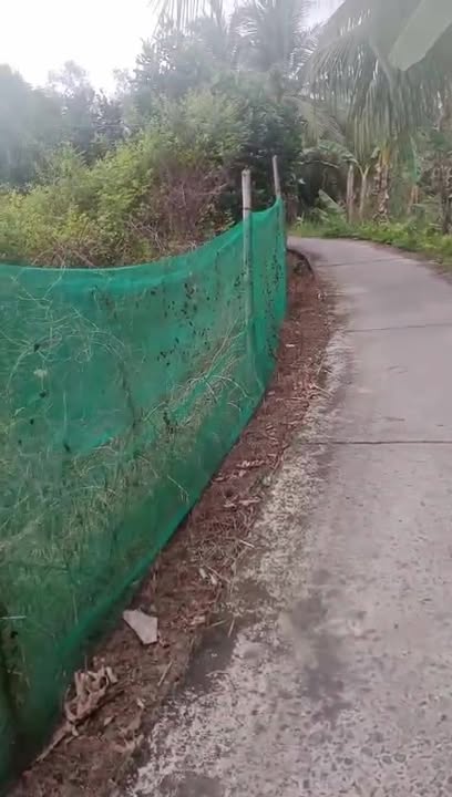 Bán Đất Nền 1300m² Mặt Tiền Đường 12m, Xã Tích Thiện, Vĩnh Long - Sổ Hồng Sẵn Sàng