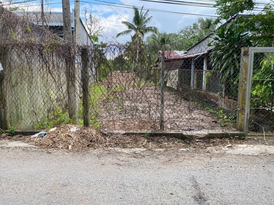 Đất nền Cần Thơ 999m² giá 2.6 tỷ - View sông thoáng mát!