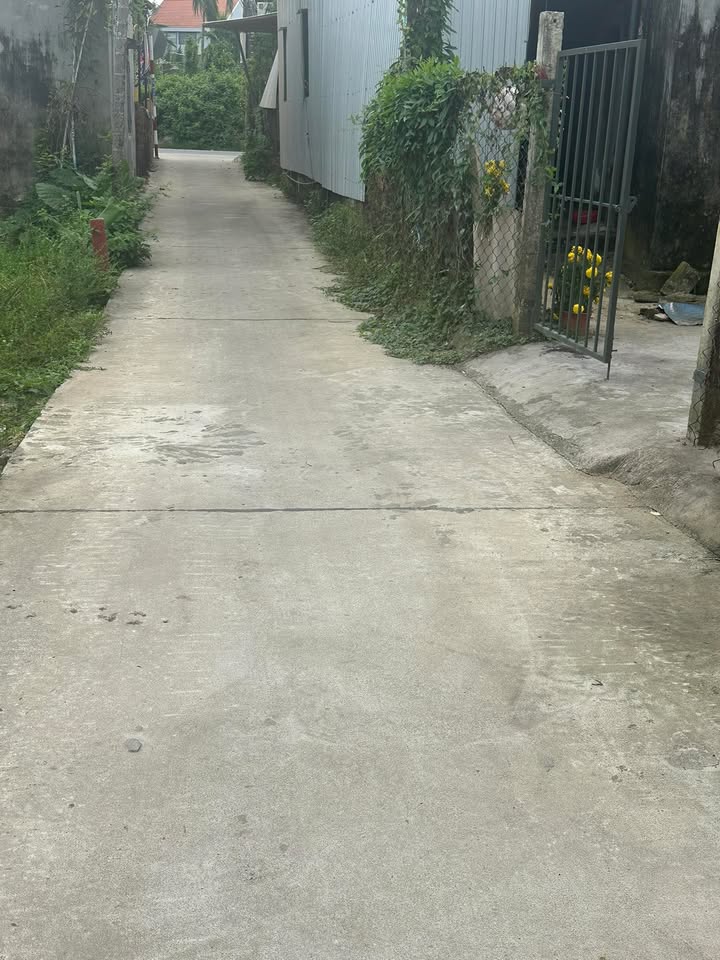 Đất nền Cẩm Thanh, Hội An 191m² - Pháp lý rõ ràng, tiềm năng sinh lời!