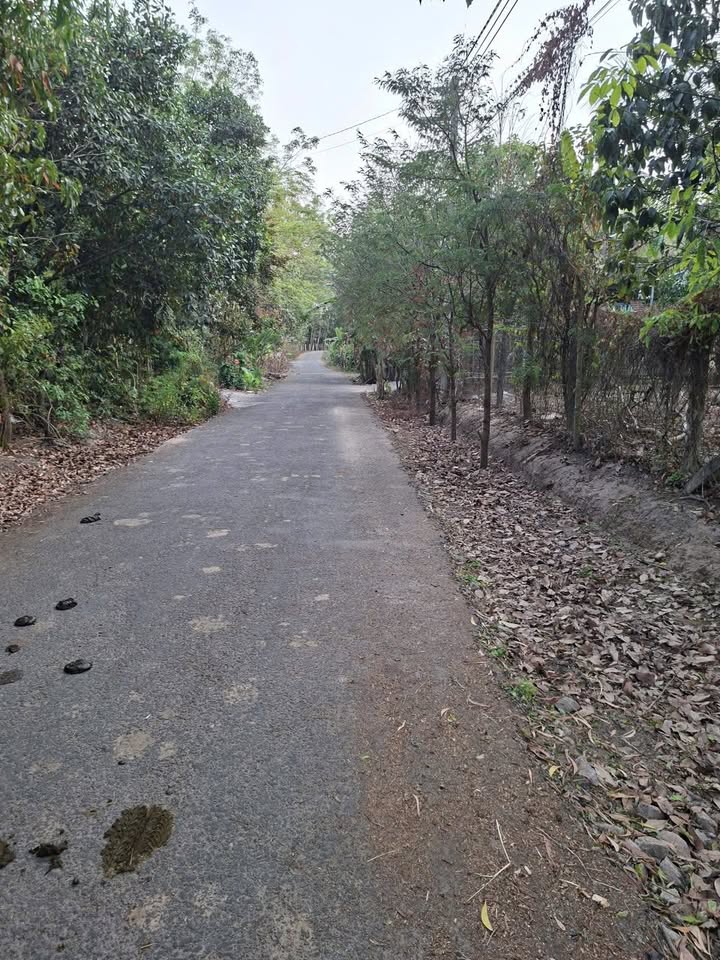 Đất Nền Xã Dầu Tiếng, Bình Dương - 215m², Giá 600 Triệu