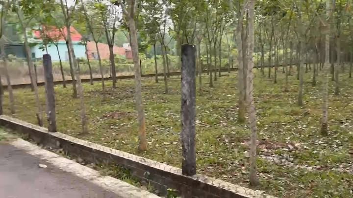 Cho thuê nhà cấp 4 Dầu Tiếng 424m² - Vị trí đẹp hiếm có!