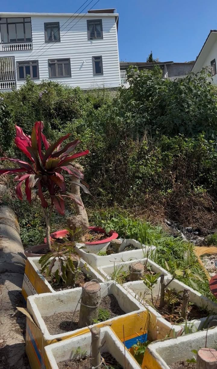 Đất 583m² Đà Lạt 2 Mặt Hẻm 27 Lê Hồng Phong - Sổ Hồng Riêng