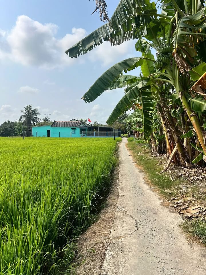 Đất nền Gò Xoài, Tân Trung 447m² - Tiềm năng tăng giá tốt