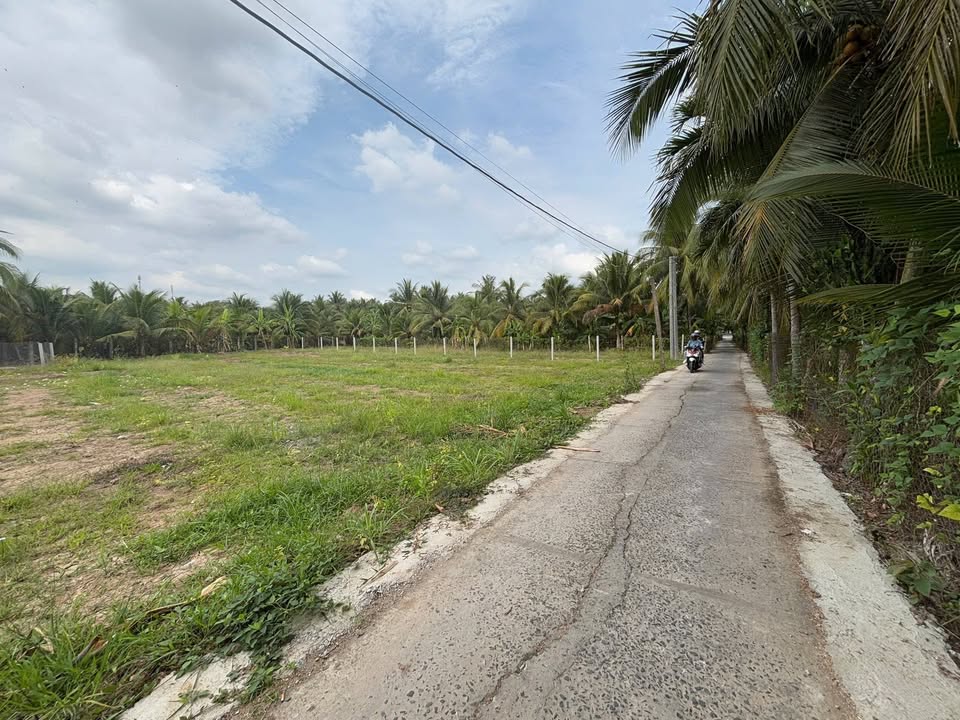 Đất Vườn 515m² Hướng Đông - Gần QL1A, Châu Thành, Tiền Giang - Chỉ 850 Triệu