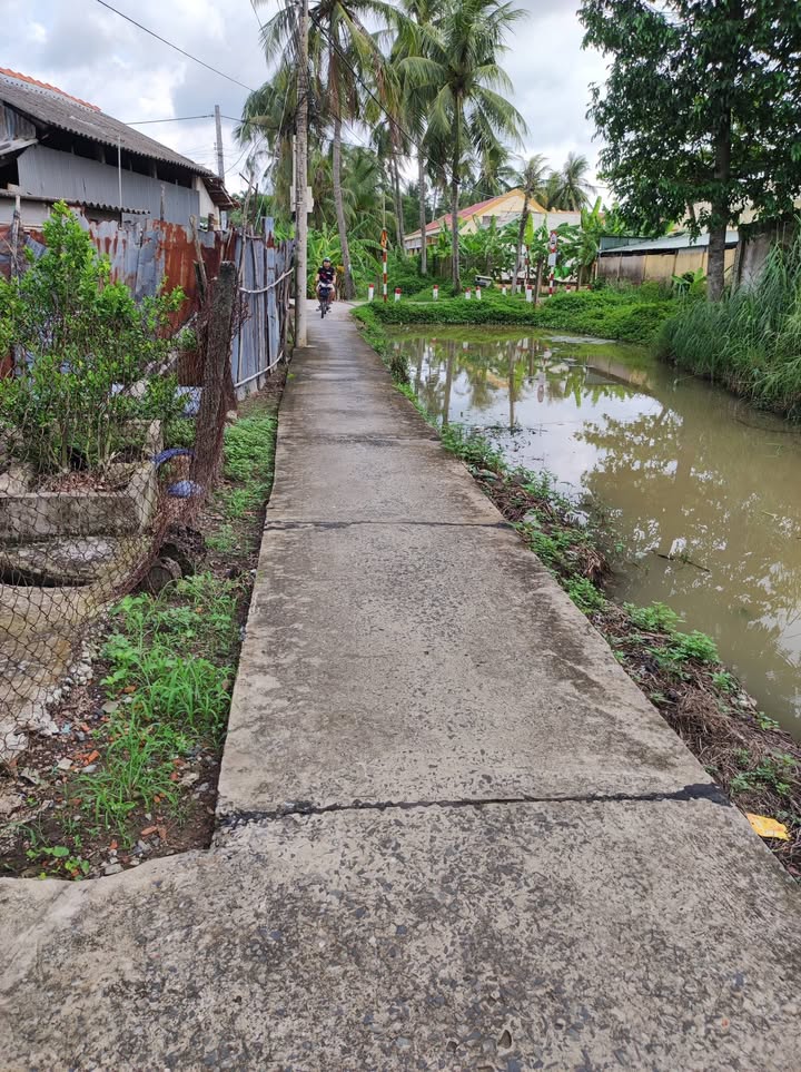 Nhà vườn Vĩnh Hựu, Gò Công Tây 1037m² - Giá tốt hiếm có!