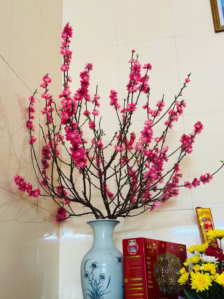 Kho/Xưởng Ngõ Bình Lộc, TP Hải Dương 105m² - Hoạt động ngay!