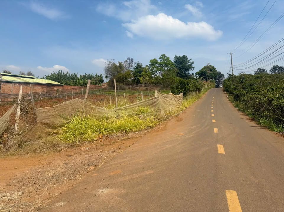 Đất nền Xã Liên Hiệp, Đức Trọng 300m² - Tiềm năng tăng giá!