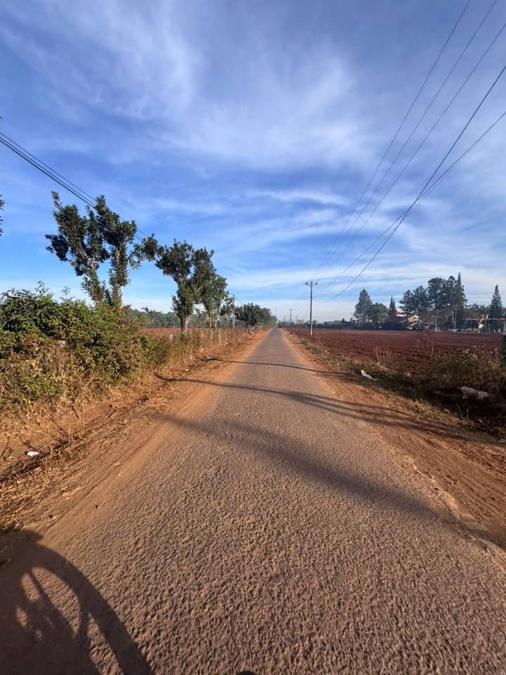 Đất Nền Ia Băng, Đăk Đoa 3600m² - Tiềm Năng Tăng Giá Vượt Trội!