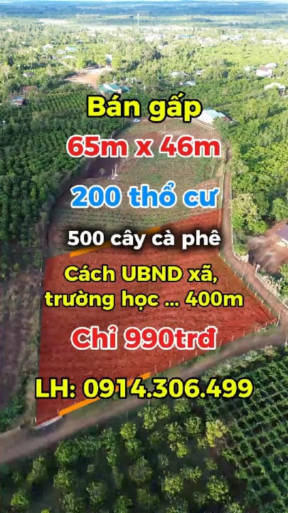 Đất Vườn Ia Phí, Chư Păh - 2990m² Sổ Hồng, Tặng Cafe 500 Cây - Giá Ngộp 990 Triệu