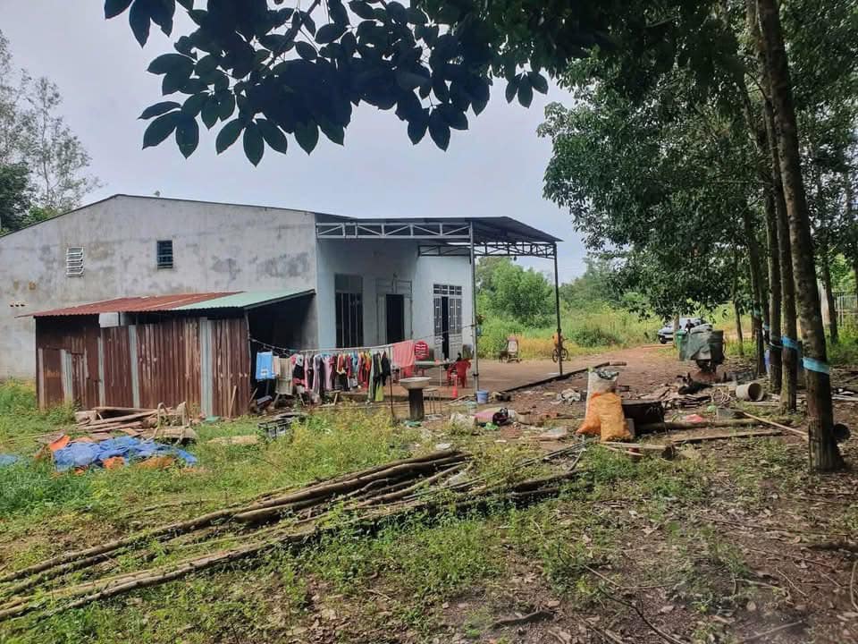 Nhà Cầu 2 Đồng Phú 627m² - Chính chủ bán gấp 950 triệu