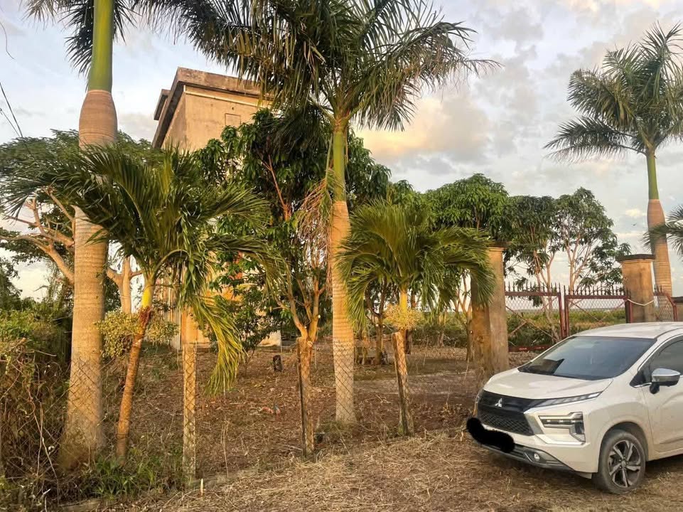 Đất Vườn Lý Nhơn, Cần Giờ 1899m² 16 Tỷ - Đầu tư dài hạn, sinh lời ngay!