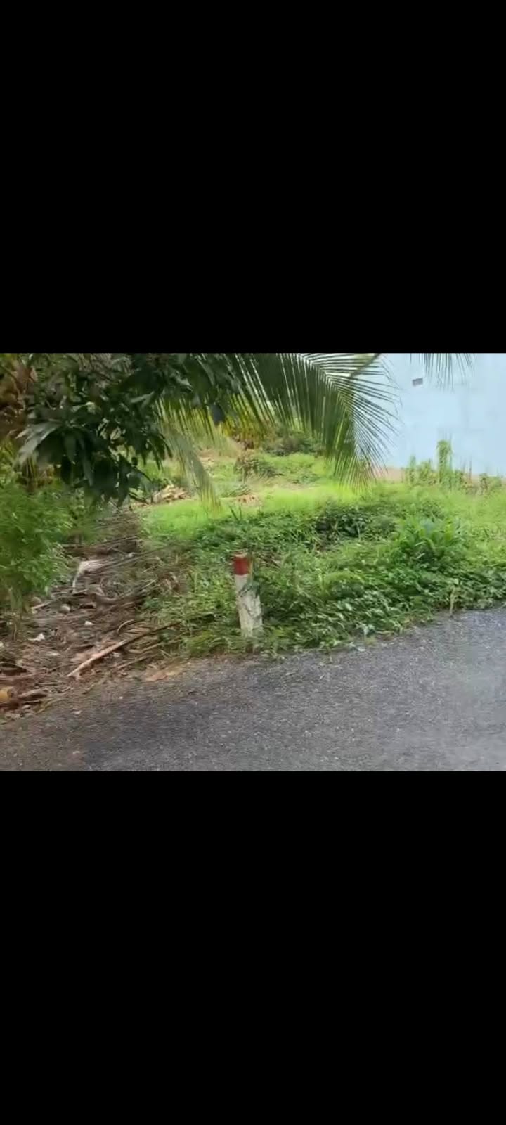 Bán đất 288m² Cái Bè, Tiền Giang - Đường nhựa, nở hậu, giá 870 triệu