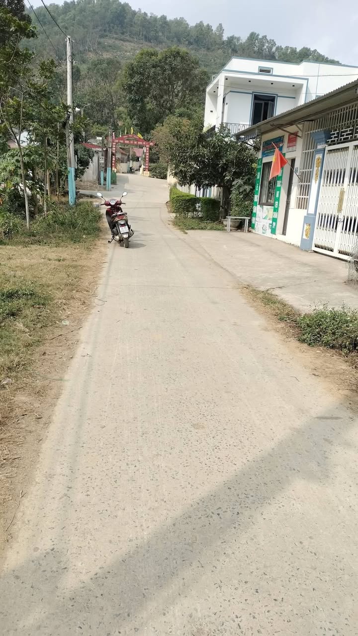 Bán Gấp 2 Lô Đất Mặt Tiền 350m² Đường QH, Định Công, Yên Định - Giá Rẻ Sập Sàn