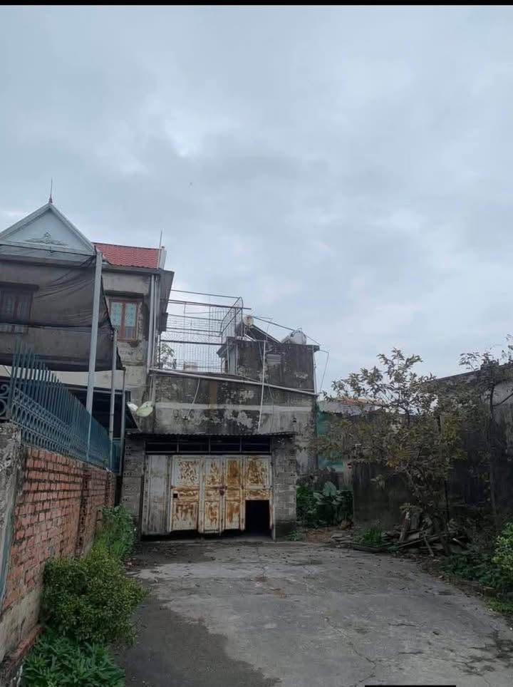 Đất nền Cẩm Trung, Cẩm Phả 74m² chỉ 900 triệu - Tiềm năng tăng giá vượt trội!