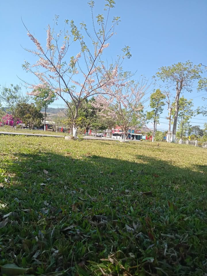 Đất nền Lý Thường Kiệt Pleiku 208m² - Tiềm năng tăng giá vượt trội!