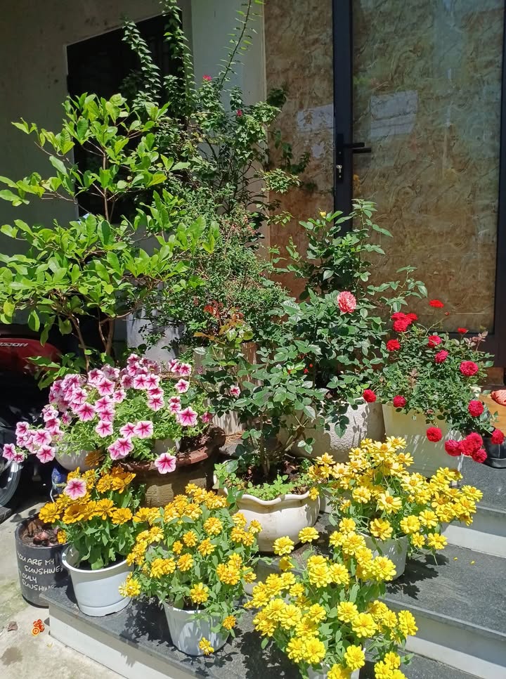 Nhà 80m² Đường Bình Kỳ, Ngũ Hành Sơn - Giá 2.55 Tỷ, Gần Chợ, Trường