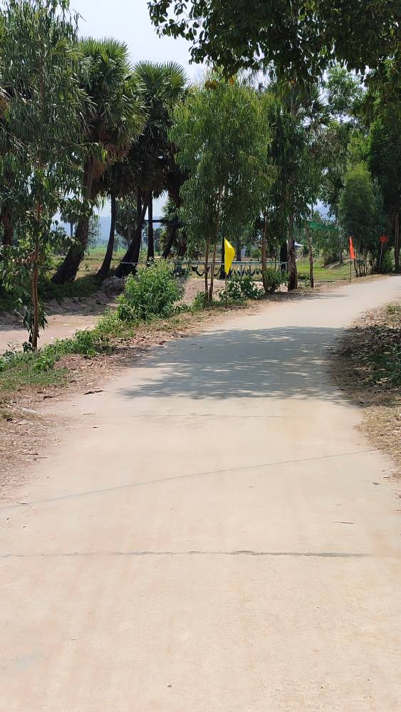 Đất nền An Giang - Gần Rừng Thốt Nốt, 120m², Hơn 200 Triệu