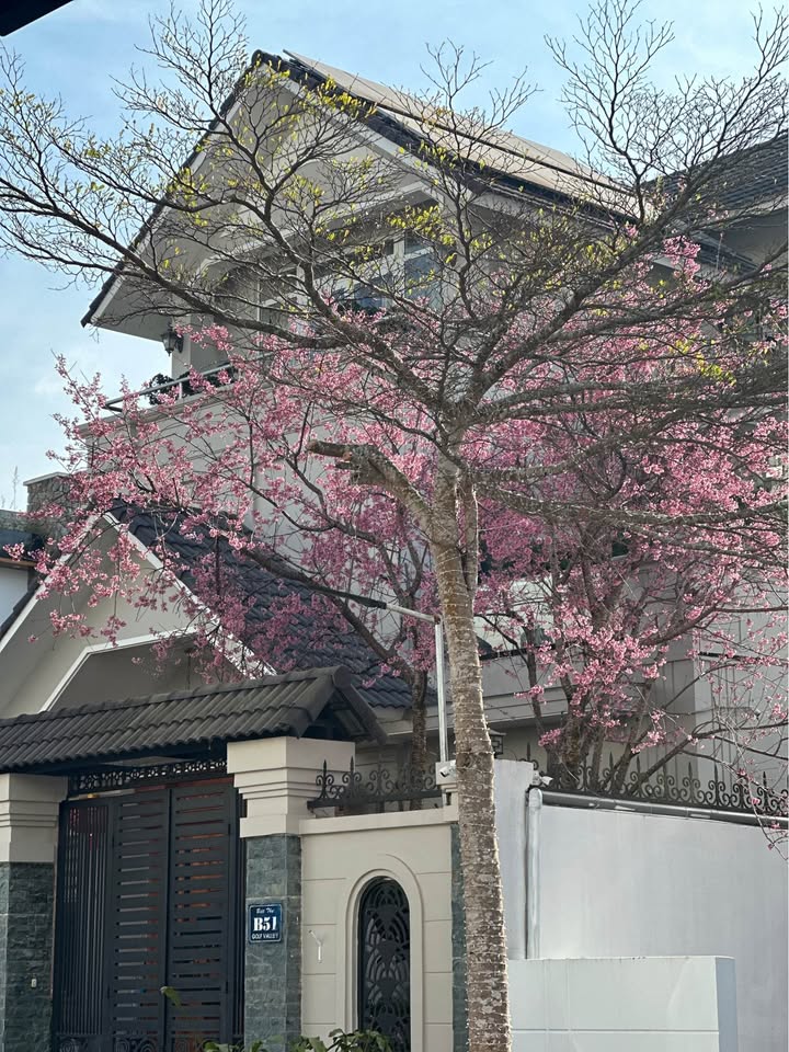 Cho thuê căn hộ Ngô Quyền Đà Lạt 2PN/1PN - Giá từ 4.5 triệu