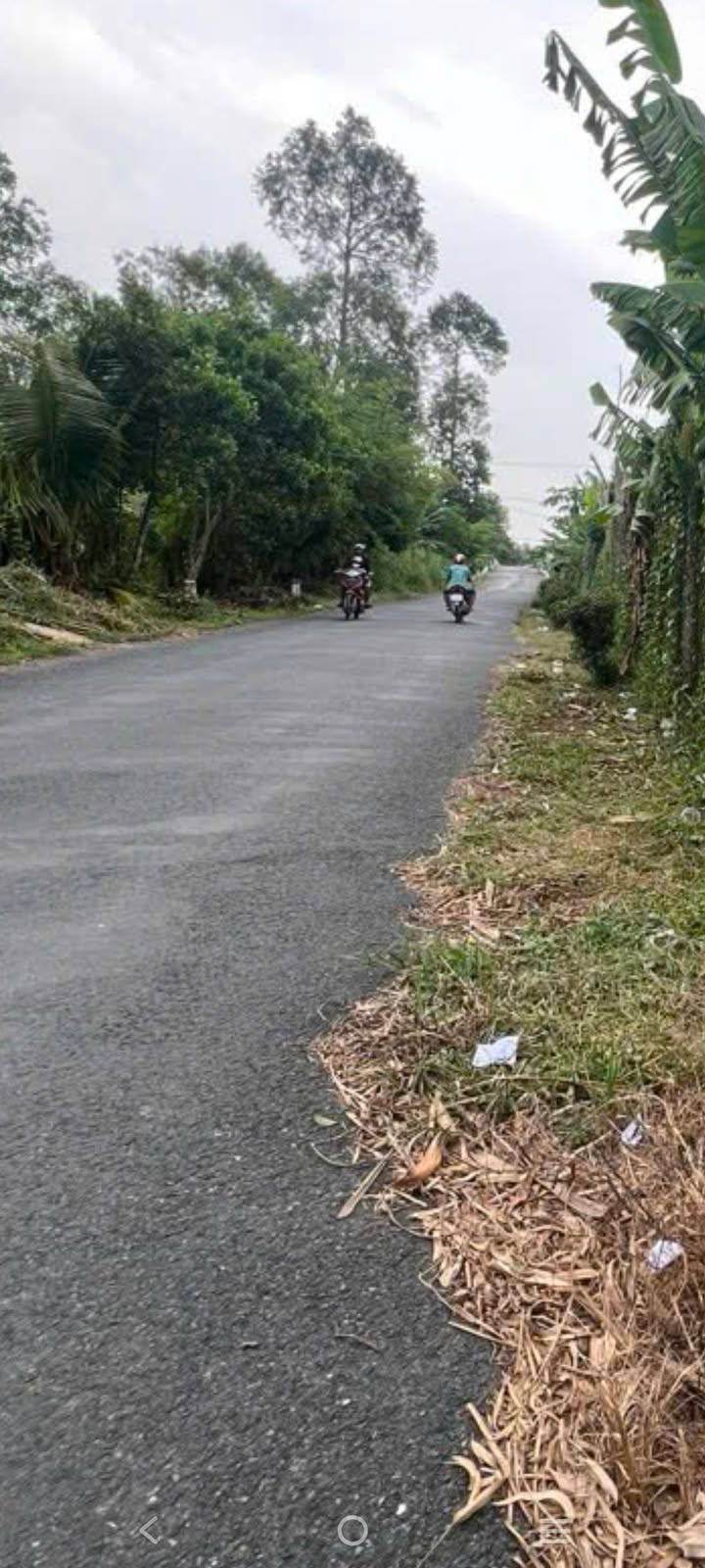 Nhà xưởng Lai Vung Đồng Tháp 2676m² - Hoạt động ngay!