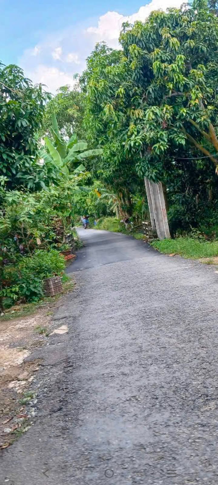 Đất vườn Hòa An, Cao Lãnh 527m² 290 triệu - Giá đầu tư tốt!