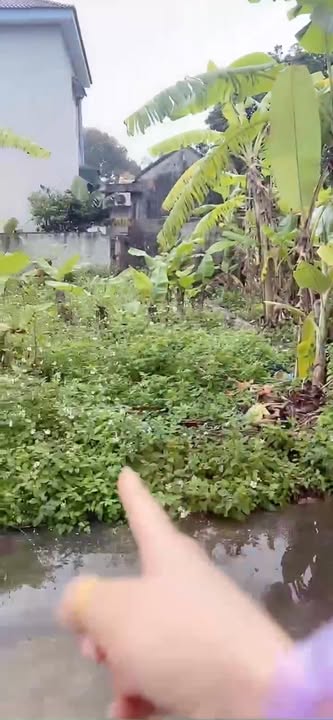 Đất nền Nga Sơn 88m² giá chỉ từ 300 triệu - Tiềm năng tăng giá!