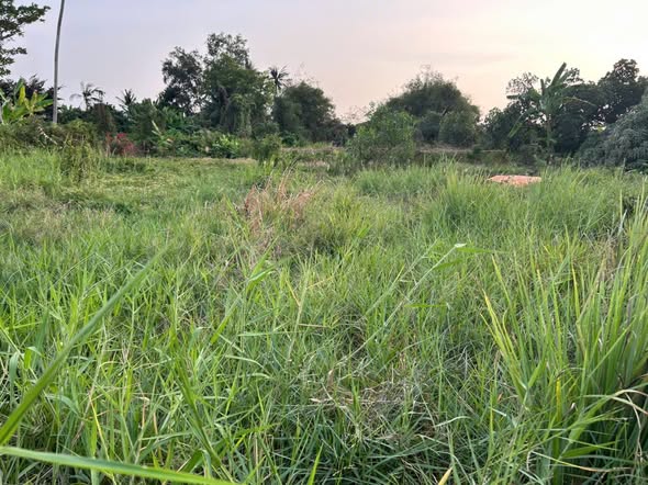 Đất thổ cư 180m² mặt tiền hẻm 646 Tân An - Sổ đỏ sẵn sàng giao dịch!