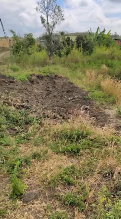 Bán Gấp Đất Vườn Đắk Lắk 10.000m² - Giá 650 Triệu