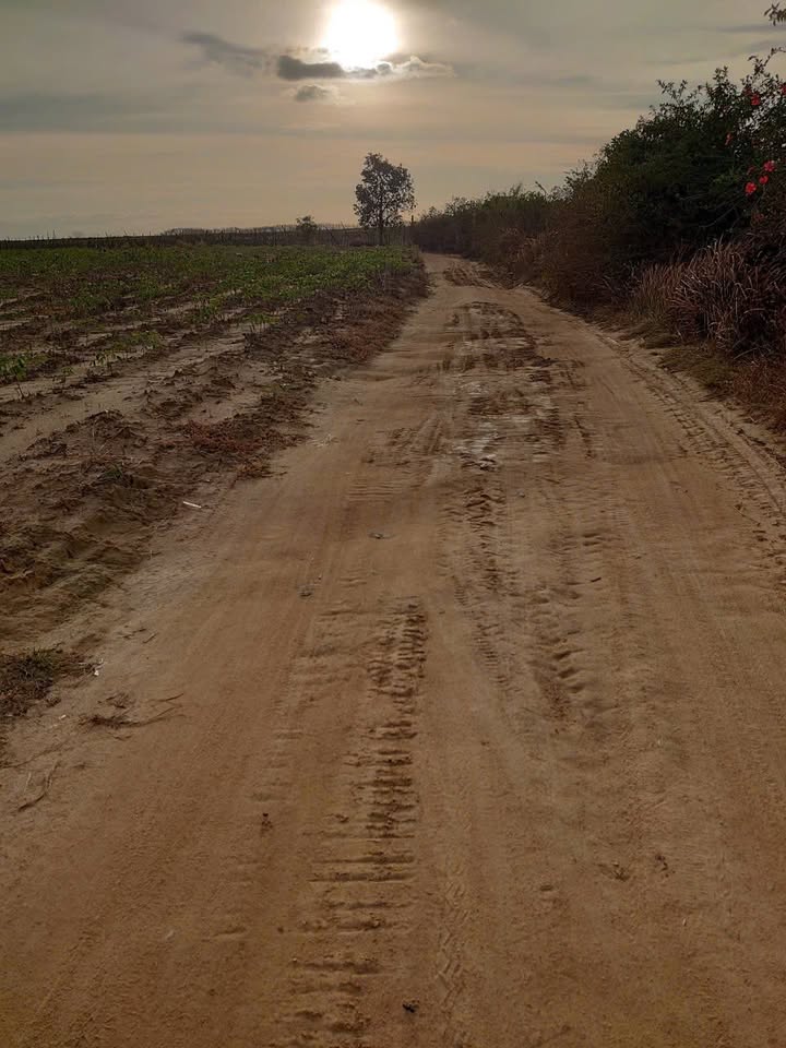 Đất Farm Ea Pil 2.8ha – Tiềm năng tăng giá, sổ đỏ sẵn sàng!