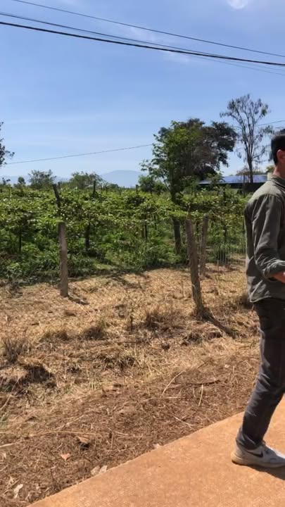 Đất Nền Ea Kar Đắk Lắk - 200m² Thổ Cư, Sổ Đỏ Sẵn Sàng