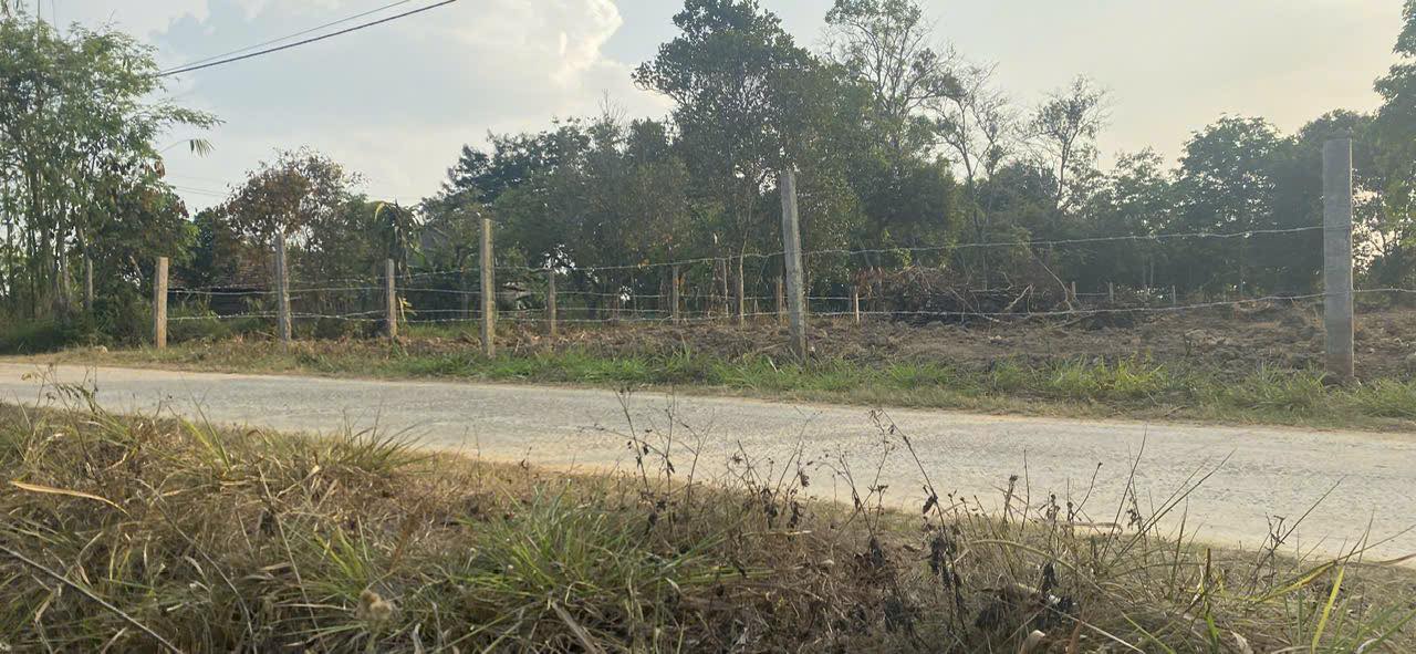 Đất Nền Ea Dar 196m² giá 230 triệu - Tiềm năng tăng giá vượt trội!