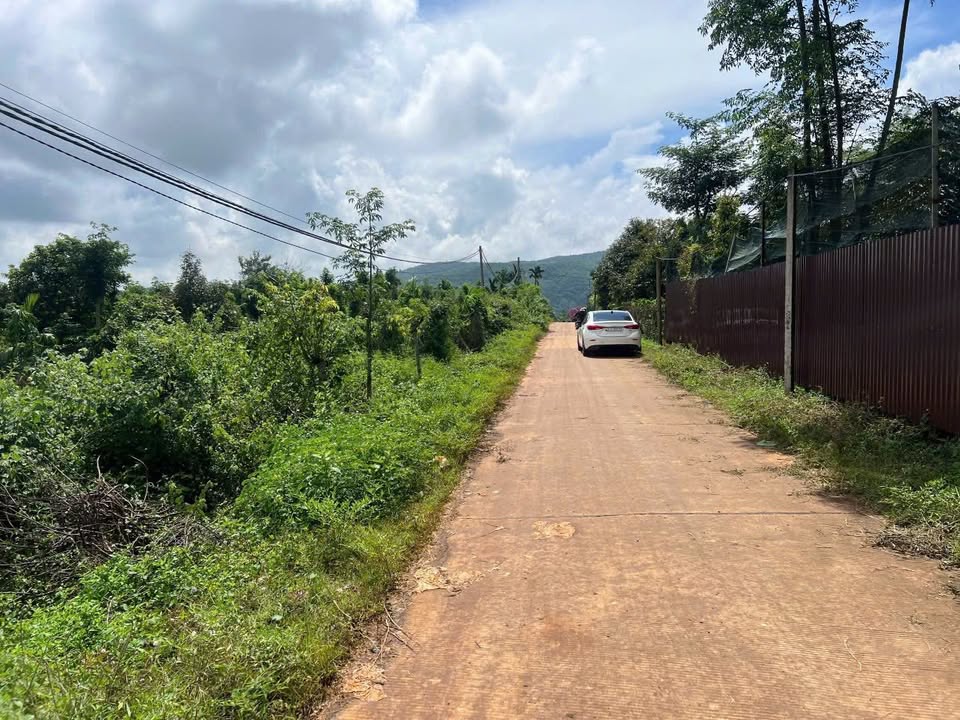 Đất nền Ea Vi, Ea Kar 2.4-2.8 tỷ - Sổ hồng riêng, tiềm năng lớn!