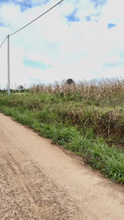 Đất nền Phú Lộc, Krông Năng: 928m² mặt tiền 16m, giá đầu tư 7.8 tỷ - Lộc vàng đầu năm!