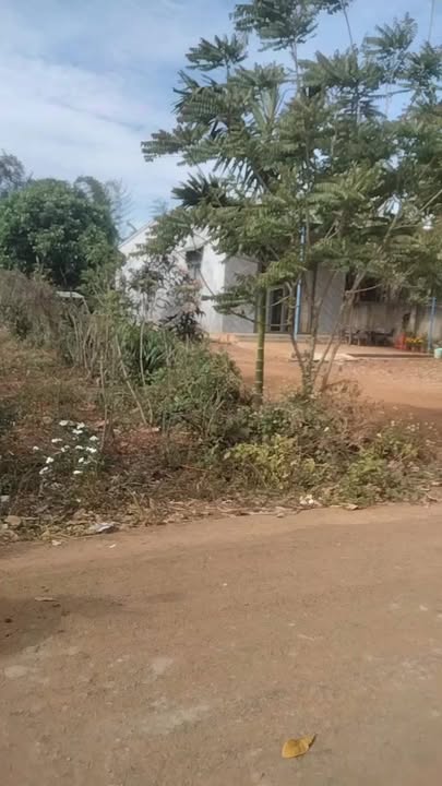 Đất nền Ea Kmut 250m² giá 550 triệu - Sổ đỏ chính chủ!