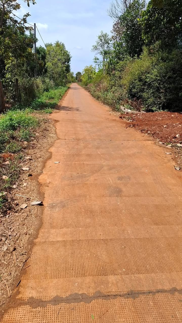 Farm Ea Tân Krông Năng 1800m² 2.45 tỷ - Sinh thái xanh hiếm có!