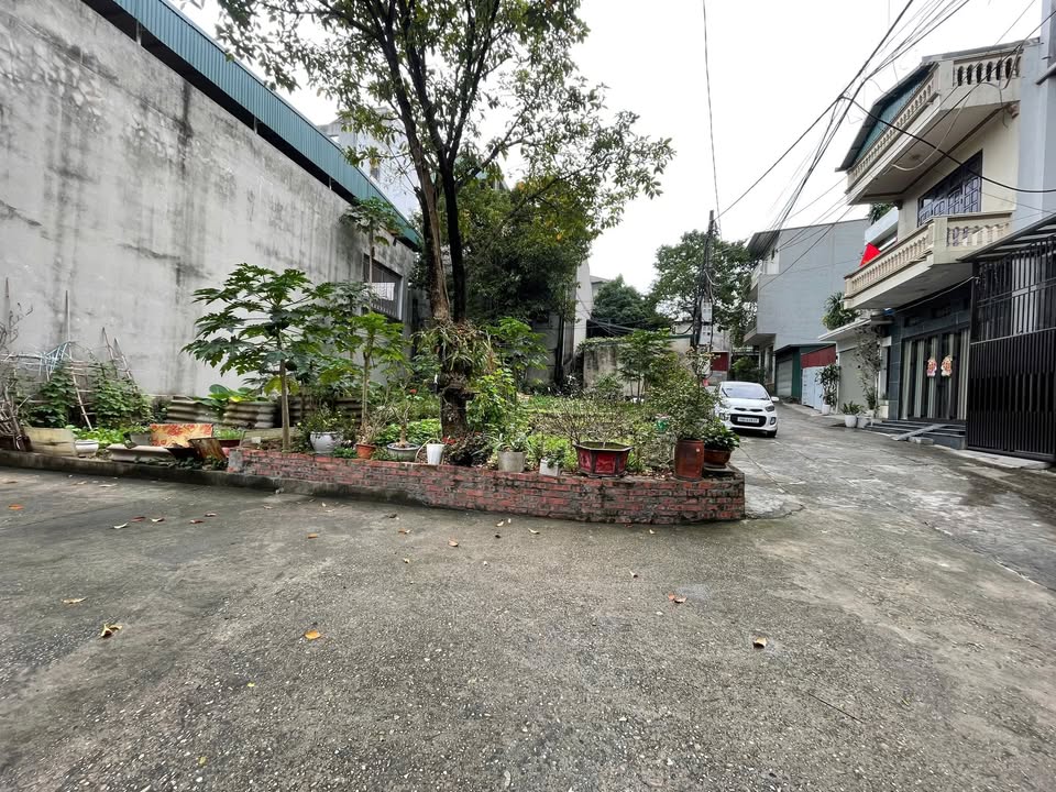 Đất Vàng 85m² Gia Cẩm, Việt Trì - 2 Mặt Tiền, 2 Ô Tô Tránh - Giá 4 Tỷ