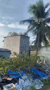 Đất nền Hẻm 6 Bùi Hữu Nghĩa Bình Thủy 88m² - Sổ đỏ chính chủ!