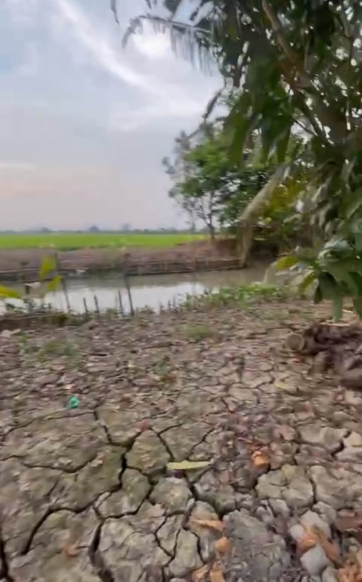 Đất Vườn Cần Thơ 4000m² - Nghỉ Dưỡng Hoặc Kinh Doanh Sân Vườn Hấp Dẫn