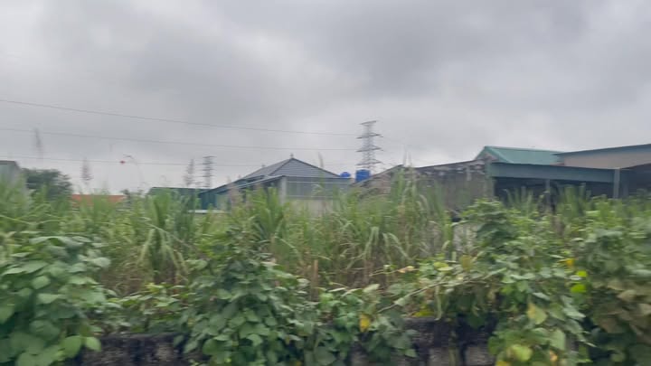 Đất nền Thôn 4 Quỳnh Diễn 195m² - Đất thổ cư 100%