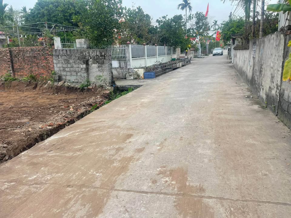 Đất nền Tân Học, Thái Thụy 155m² - Sổ đỏ sẵn sàng, ô tô vào tận nơi