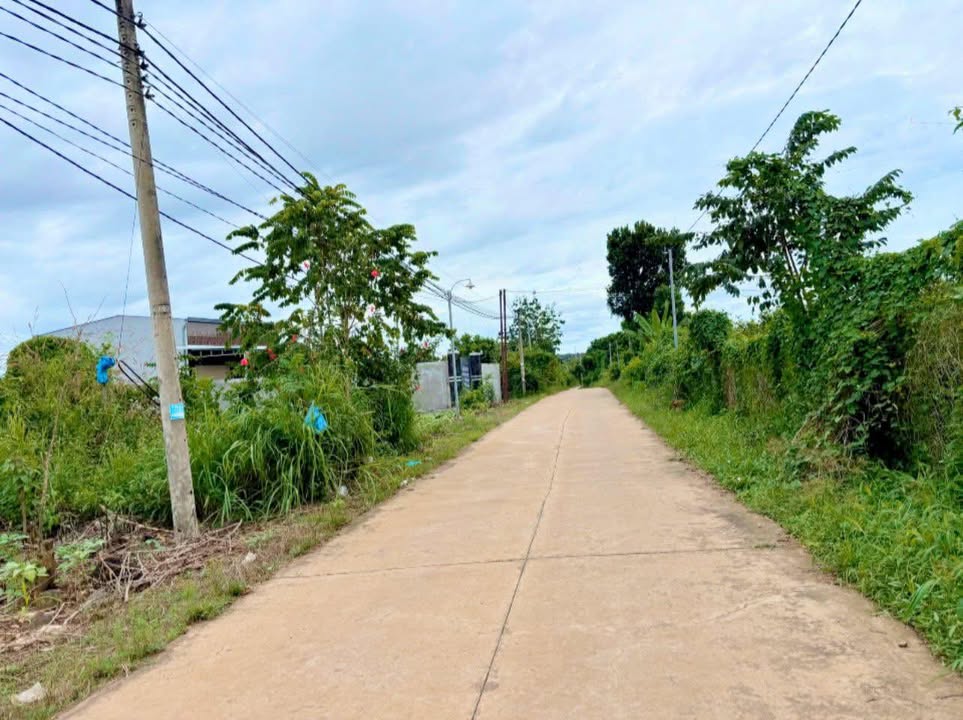 Đất Vườn Đồng Nai 2200m² - Mặt Tiền Bê Tông, Giá 1.8 Tỷ