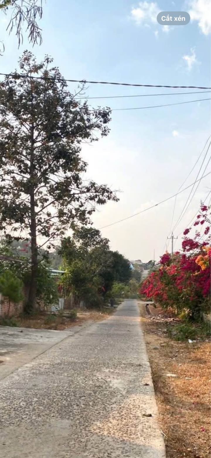 Bán Đất Thổ Cư 150m² Đăk RoWa, Kon Tum - Sẵn Sàng Xây Nhà