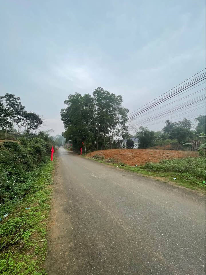 Đất nền Phường Phong Châu 125m² giá 1 tỷ - Sổ đỏ chính chủ!