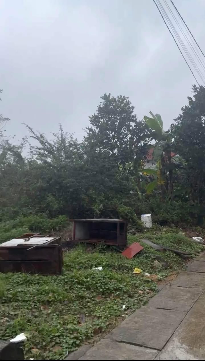 Bán Đất 165m² Lối Hai Phan Đình Phùng, Hà Tĩnh - Sổ Đỏ Sẵn Sàng