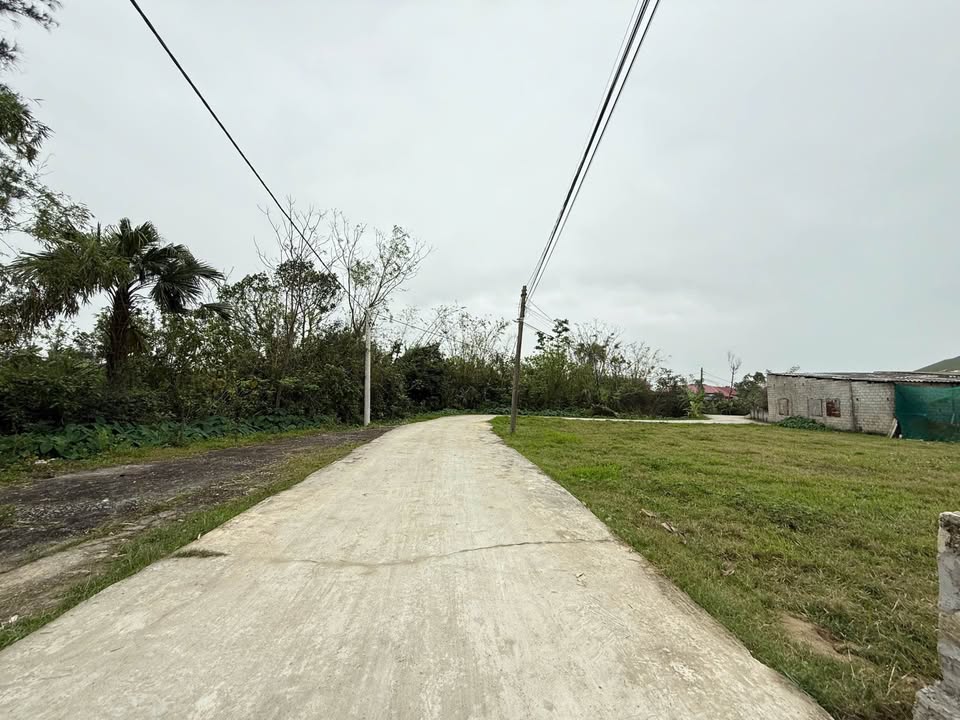 Đất Vàng Thạch Thắng 281m² Sổ Đỏ - Giá Đầu Tư F0 1.4 Tỷ