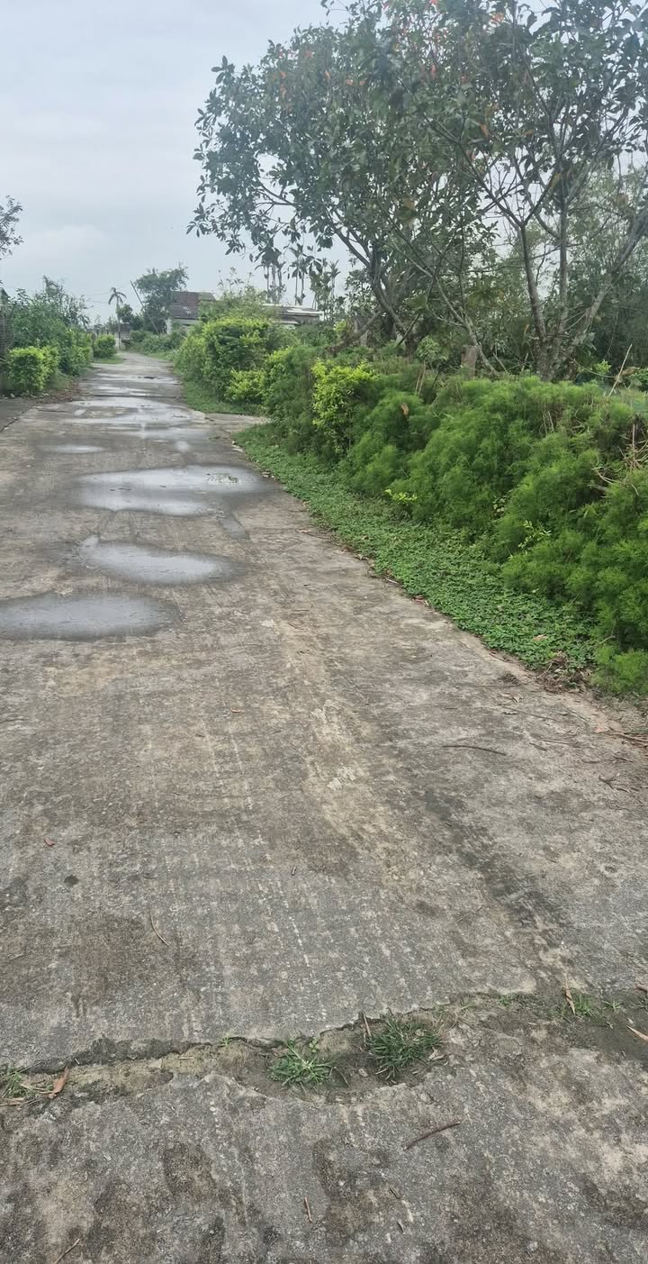 Đất nền Cẩm Dương 288m² Sổ đỏ chính chủ - Tiềm năng sinh lời cao!