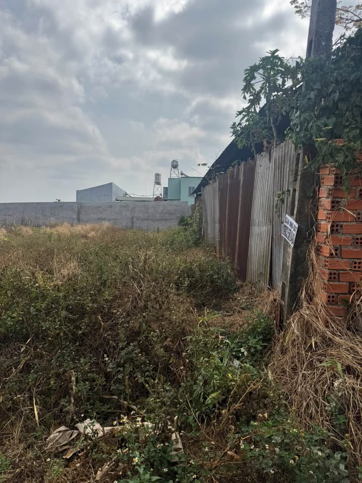 Đất Nền Thổ Cư 125m² - Trung Tâm Buôn Ma Thuột, Sẵn Sàng Xây Nhà